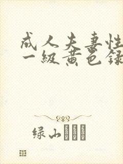 成人夫妻性生活一级黄色录像