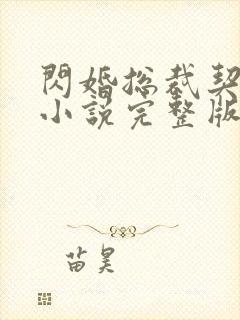 闪婚总裁契约妻小说完整版免费