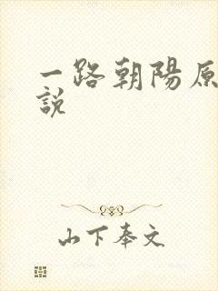 一路朝阳原著小说