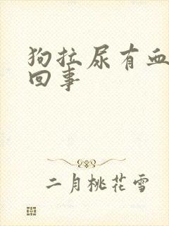 狗拉尿有血怎么回事