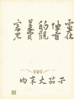 完美的他电视剧免费观看在线