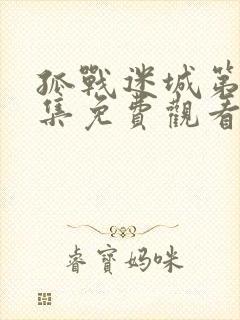 孤战迷城第27集免费观看