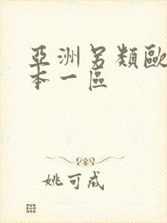 亚洲另类欧美日本一区