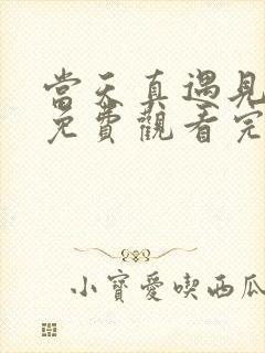 当天真遇见爱情免费观看完整版封面