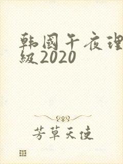 韩国午夜理伦三级2020