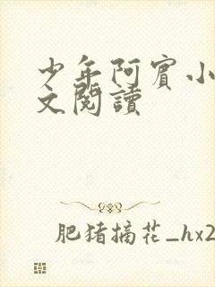 少年阿宾小说全文阅读