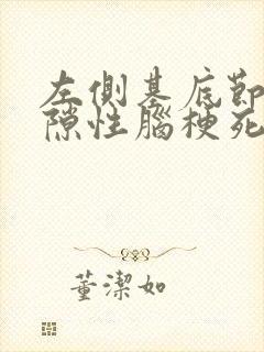 左侧基底节区腔隙性脑梗死