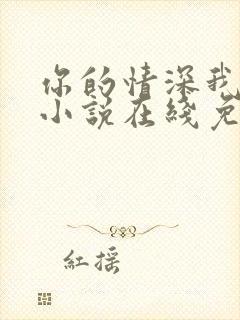 你的情深我不配小说在线免费阅读