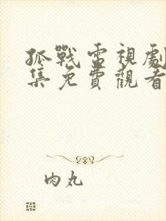 孤战电视剧40集免费观看高清版