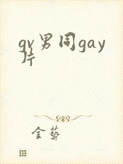 gv男同gay片封面
