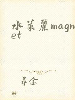 水菜丽magnet
