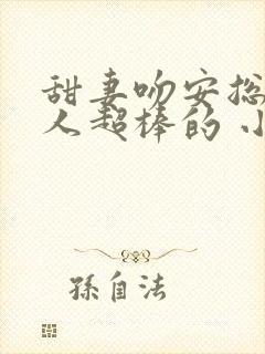 甜妻吻安总裁大人超棒的 小说封面