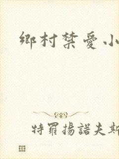 乡村禁爱小说封面