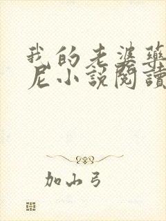 我的老婆药药托尼小说阅读封面