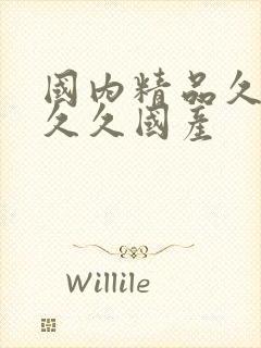 国内精品久久久久久国产