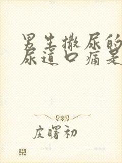 男生撒尿的时候尿道口痛是什么原因