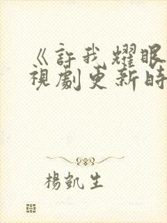 《许我耀眼》电视剧更新时间封面