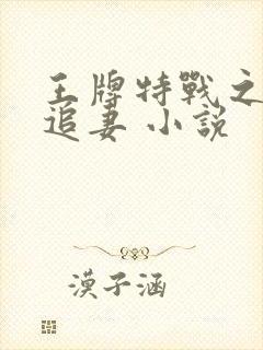 王牌特战之权少追妻 小说封面