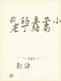 我的妻子小谨和老丁结局封面