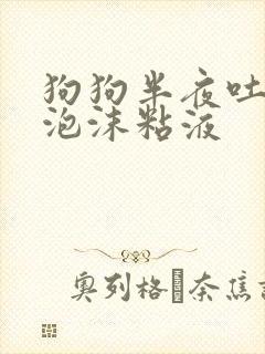 狗狗半夜吐白色泡沫粘液