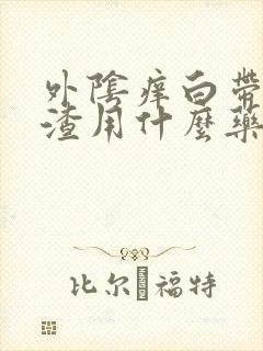 外阴痒白带豆腐渣用什么药好