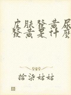 皮肤发黄尿液也发黄是什么原因引起的