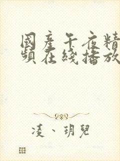 国产午夜精品视频在线播放