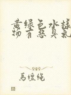 黄绿色水样分泌物有恶臭气味封面