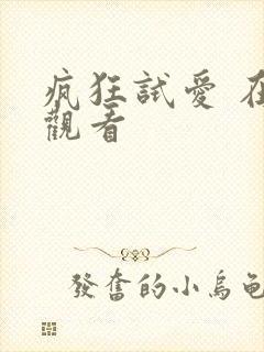 疯狂试爱 在线观看封面