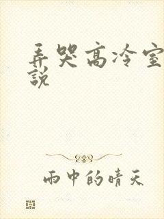 弄哭高冷室友小说