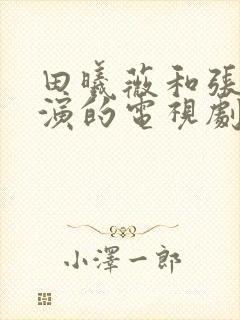 田曦薇和张凌赫演的电视剧叫什么