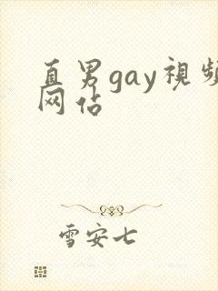直男gay视频网站封面