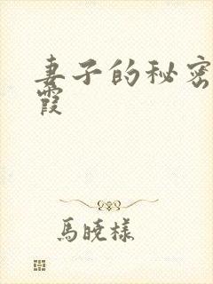 妻子的秘密韩晴霞