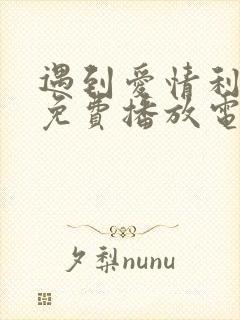 遇到爱情利先生免费播放电视剧在哪