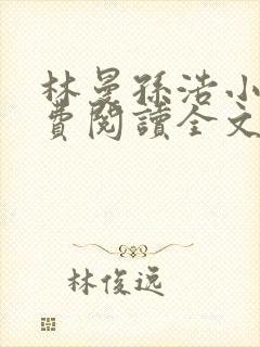 林曼孙浩小说免费阅读全文最新章节封面