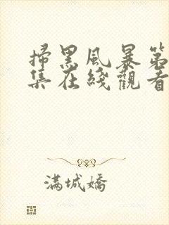 扫黑风暴第23集在线观看免费完整版