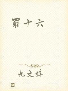 罗十六封面