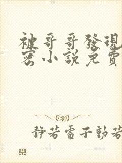 被哥哥发现的秘密小说免费阅读全文