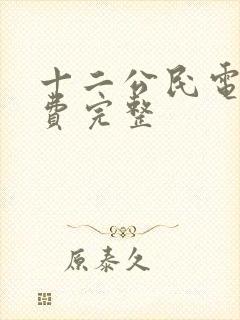 十二公民电影免费完整