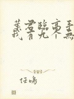 叶君临高手下山我有九个无敌师父