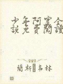 少年阿宾全文小说免费阅读笔趣阁