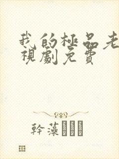 我的极品老婆电视剧免费