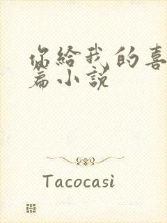 你给我的喜欢长篇小说