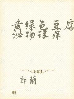 黄绿色豆腐渣分泌物很痒