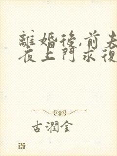 离婚后,前夫连夜上门求复婚 全本