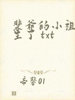 裴爷的小祖宗重生了 txt封面