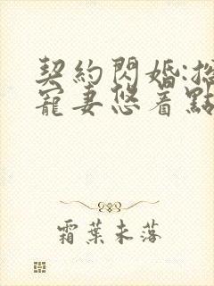 契约闪婚:总裁宠妻悠着点