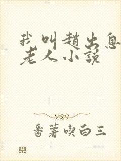 我叫赵出息关中老人小说