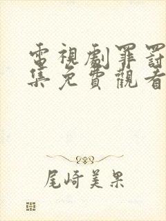 电视剧罪罚40集免费观看全集