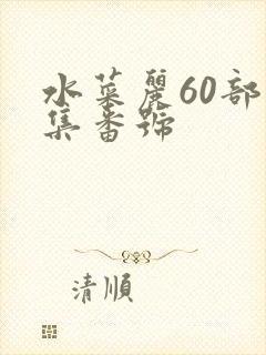 水菜丽60部合集番号